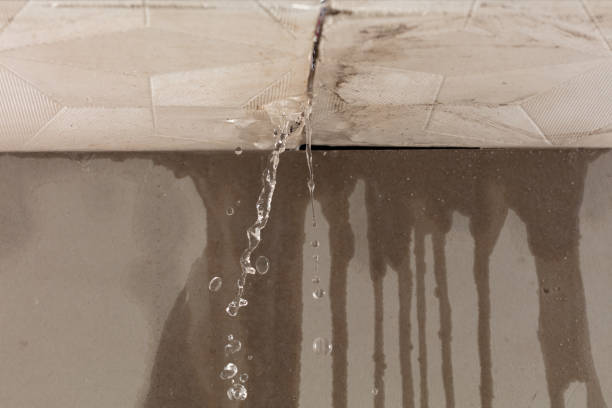 Professional Burst Pipe Cleanup technician working in Allons, TN